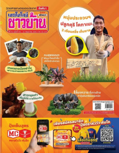 เทคโนโลยีชาวบ้านฉบับที่ 791 : 15 พฤษภาคม 2566 พารามิเตอร์รูปภาพ 1